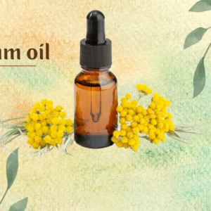 template design Helichrysum flower oil anti aging