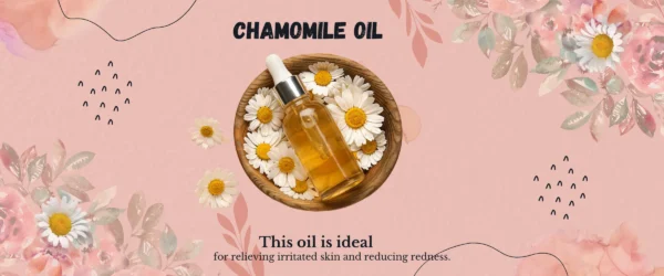 template design Chamomile Flower oil