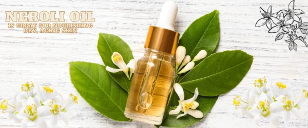 template design neroli flower oil