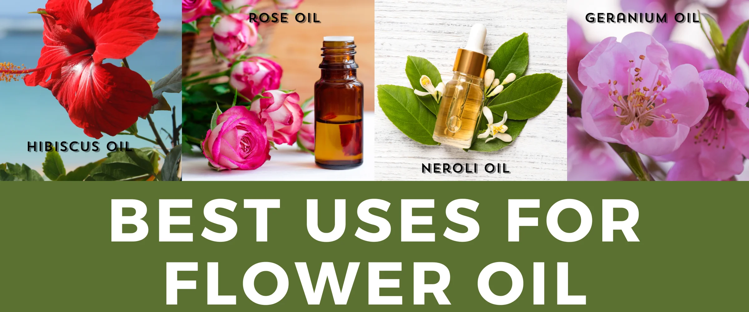 Read more about the article Best Uses of Flower Oils