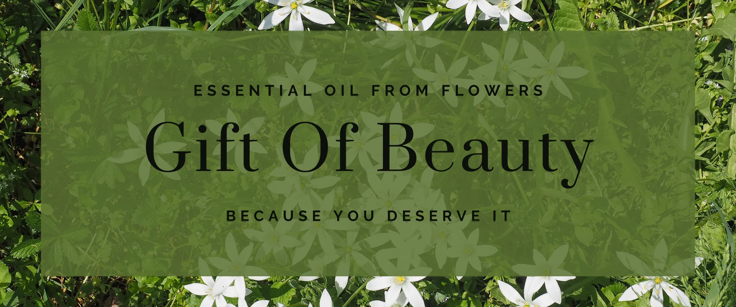 You are currently viewing Oil benefit for skin & beauty care