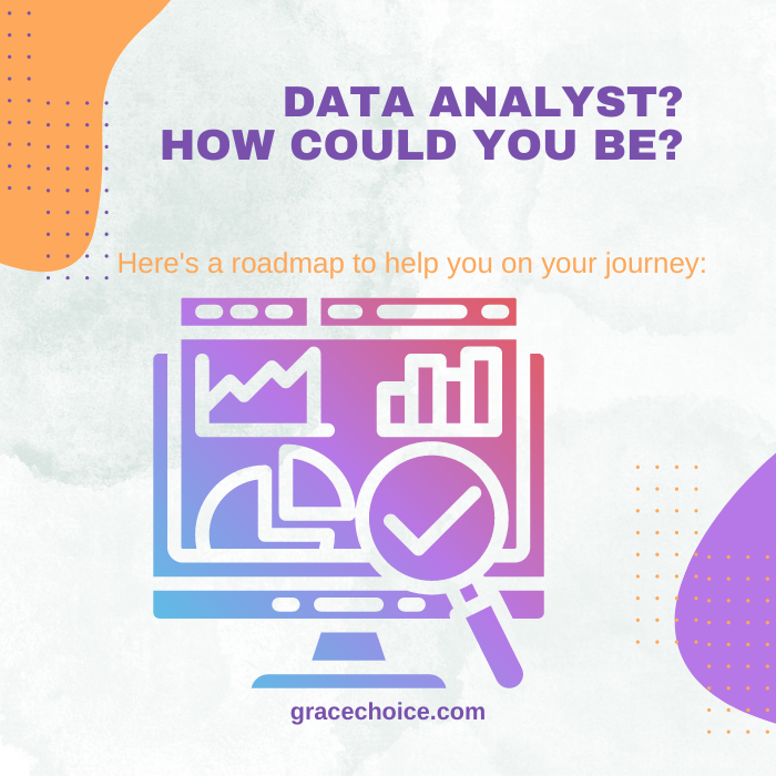 data analyst