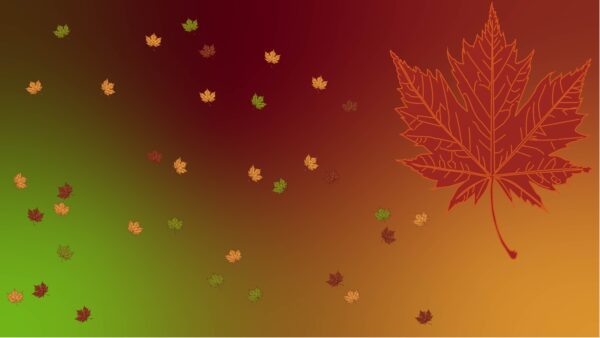 background Leaf